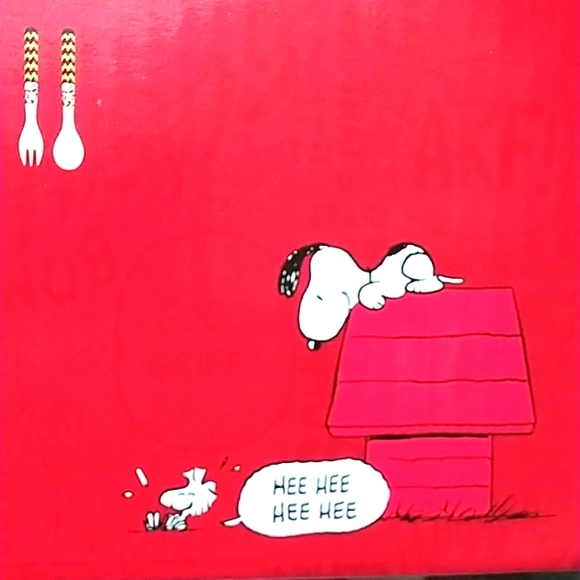 Peanuts 5pc Bamboo Fiber Dinnerware Set - Picture 4 of 4